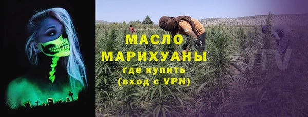 гашик Дмитров